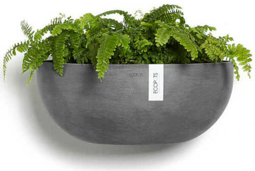Γλάστρα Τοίχου Sofia Wall ECOPOTS 43x25x(Υ)17,5cm Γκρι με Φυτό